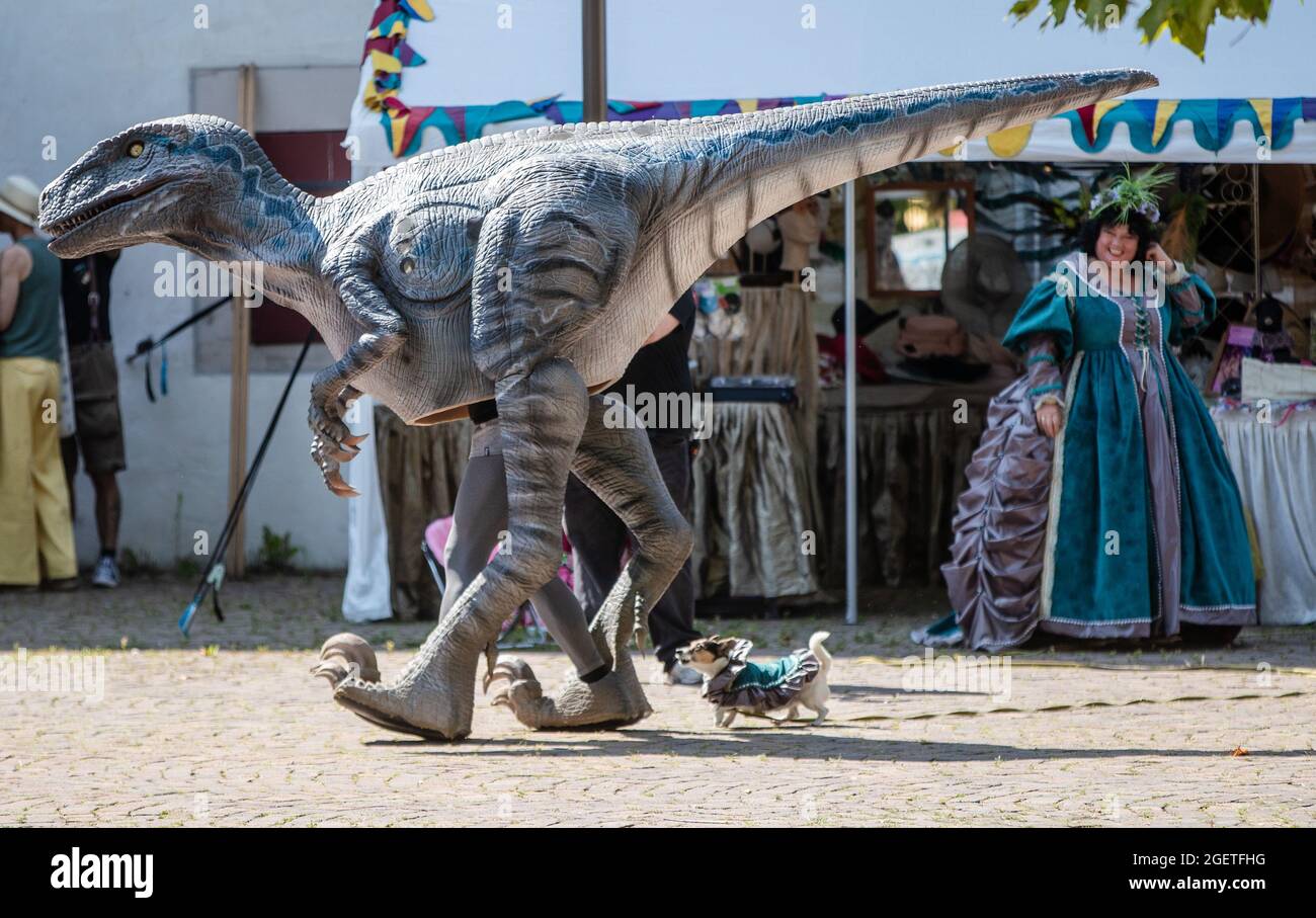 Dressed As A Dinosaur High Resolution Stock Photography and Images - Alamy