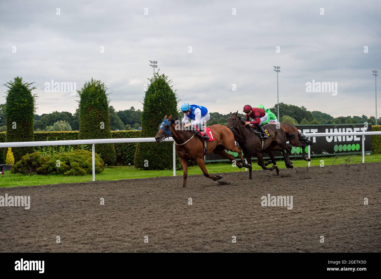 Gary moore horse trainer hires stock photography and images Alamy