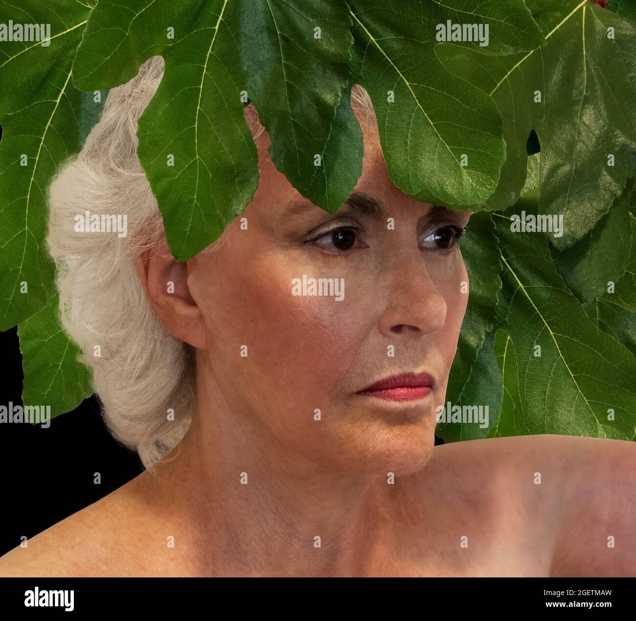 Udstyr overraskende Multiplikation Fig leaf woman hi-res stock photography and images - Alamy