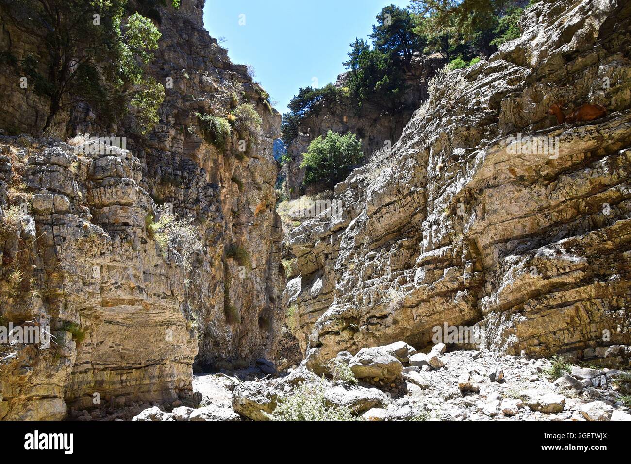 Imbros Gorge, Crete, Greece, Europe Stock Photo