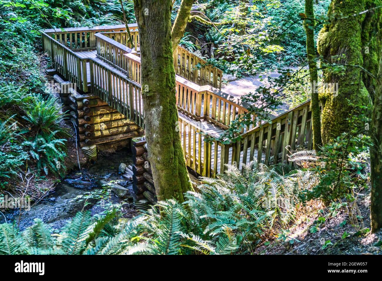 A woodend bridge spans a creek at Dash Point State Park in Washington State Stock Photo Alamy