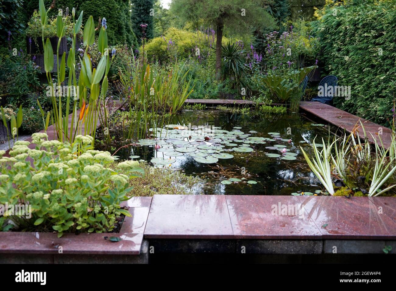 Loozen, Netherlands - August 17 2021 - An geometric pond in the pond gardens of Ada Hofman. All her ponds are on natural and ecological basis. Stock Photo
