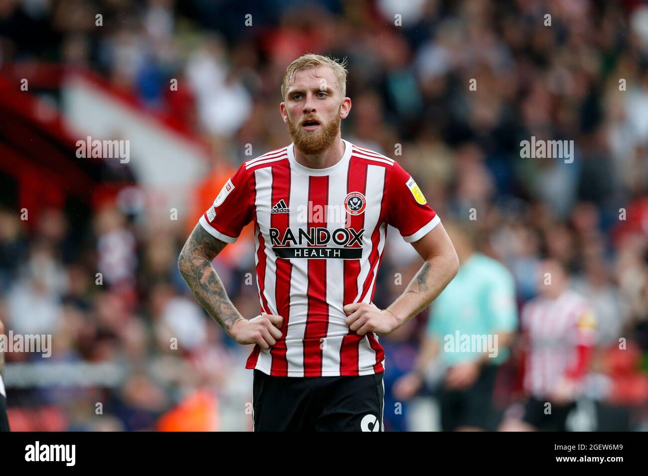 Oliver McBurnie #9 of Sheffield United Stock Photo