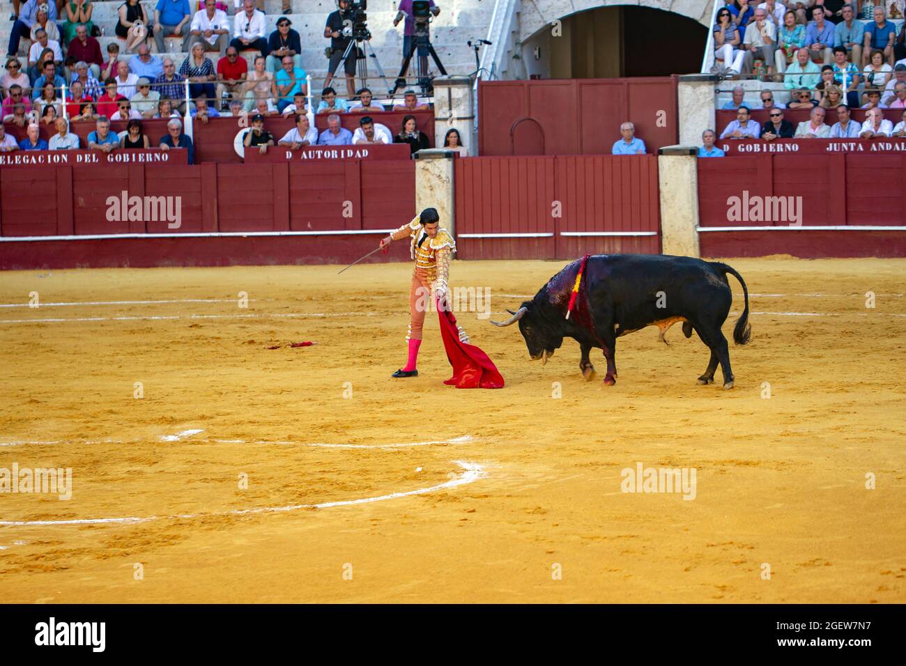 Bull Fighting in Malaga Spain Stock Photo
