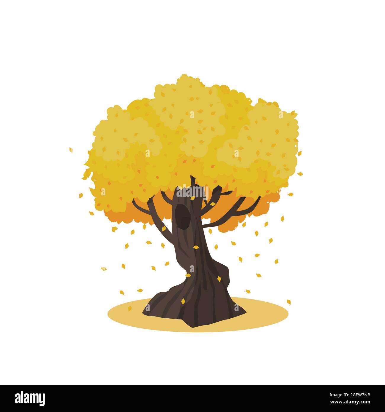 Huge autumn tree with large trunk. Yellow and orange falling leaves