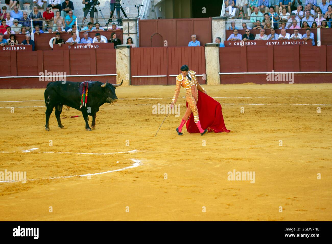 Bull Fighting in Malaga Spain Stock Photo