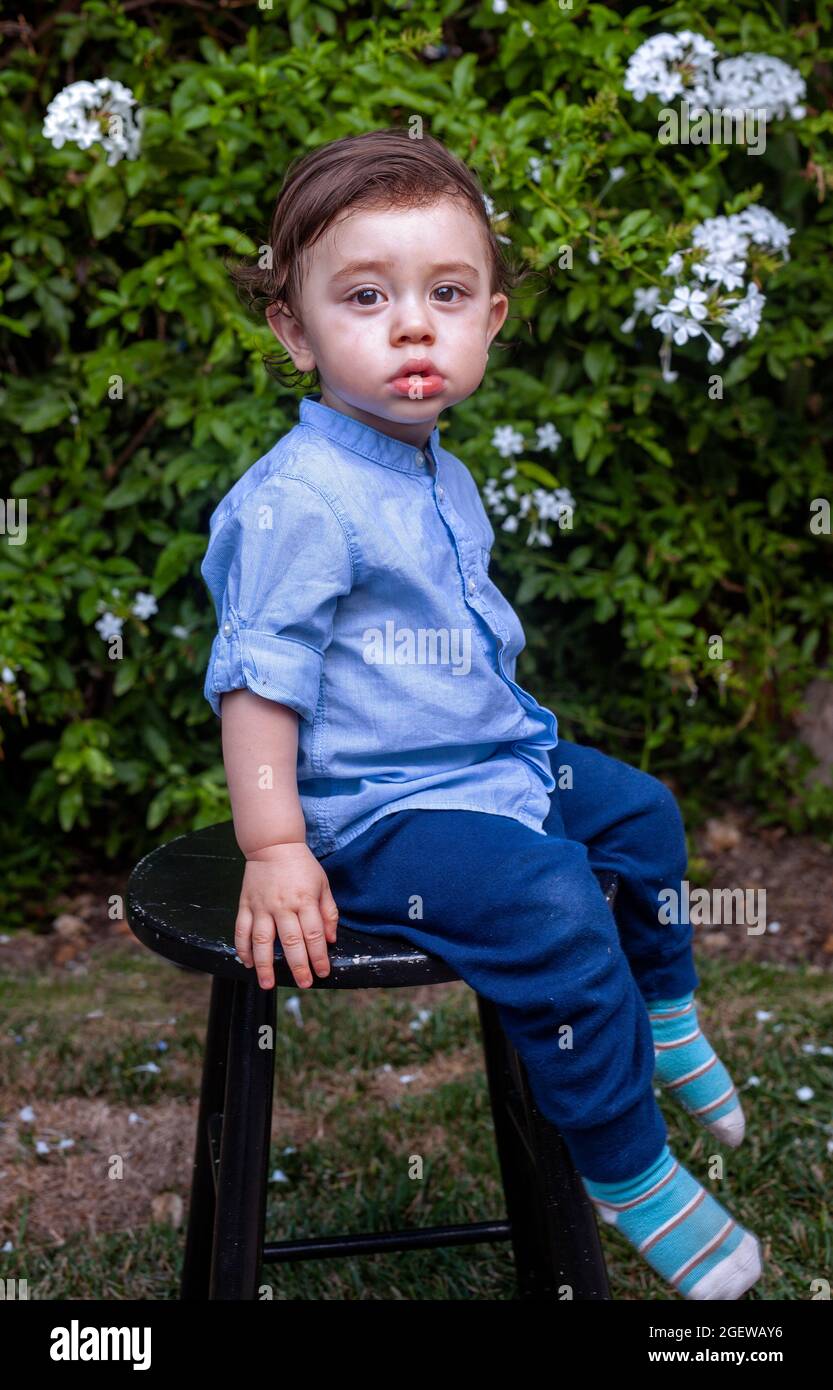 Toddler Boy with brown curly hair and large brown eyes wearing a blue shirt and jeans sitting on a black stool in front of a green bush Stock Photo