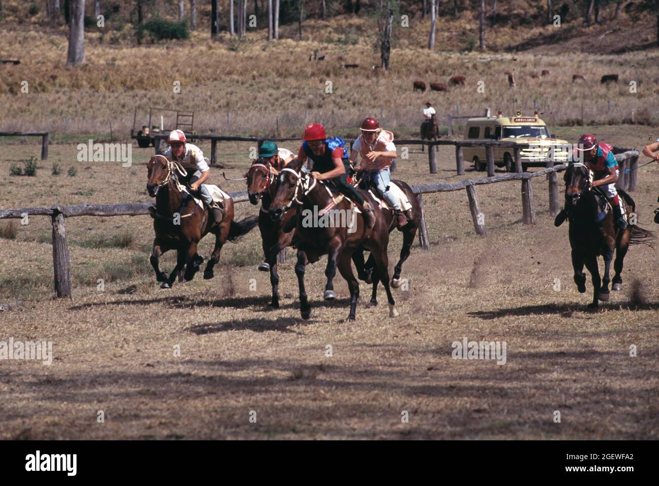 Australia. Queensland. Sunshine Coast. Picnic races at Conondale. Stock Photo
