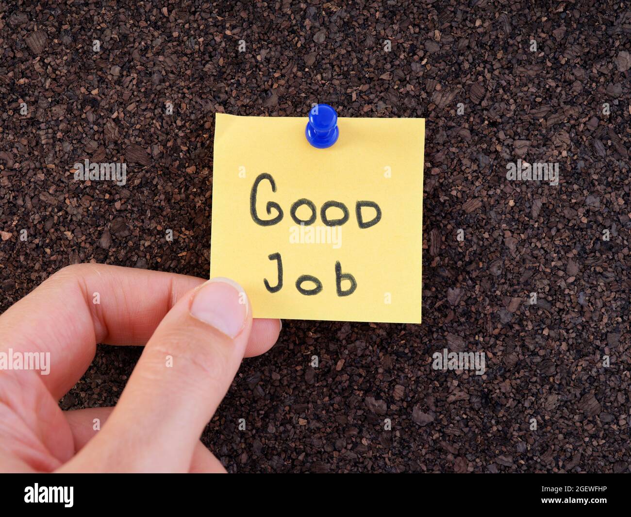 A woman holding an adhesive note with the words good job on it pinned on a cork bulletin board. Close up. Stock Photo