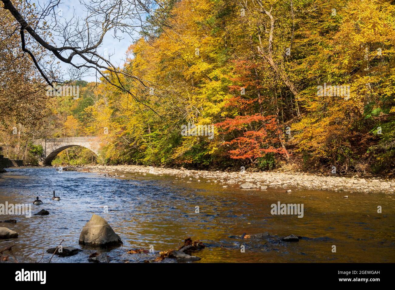 Wissahickon Creek Valley Park in fall near Forbidden Drive, Philadelphia, Pennsylvania, USA Stock Photo