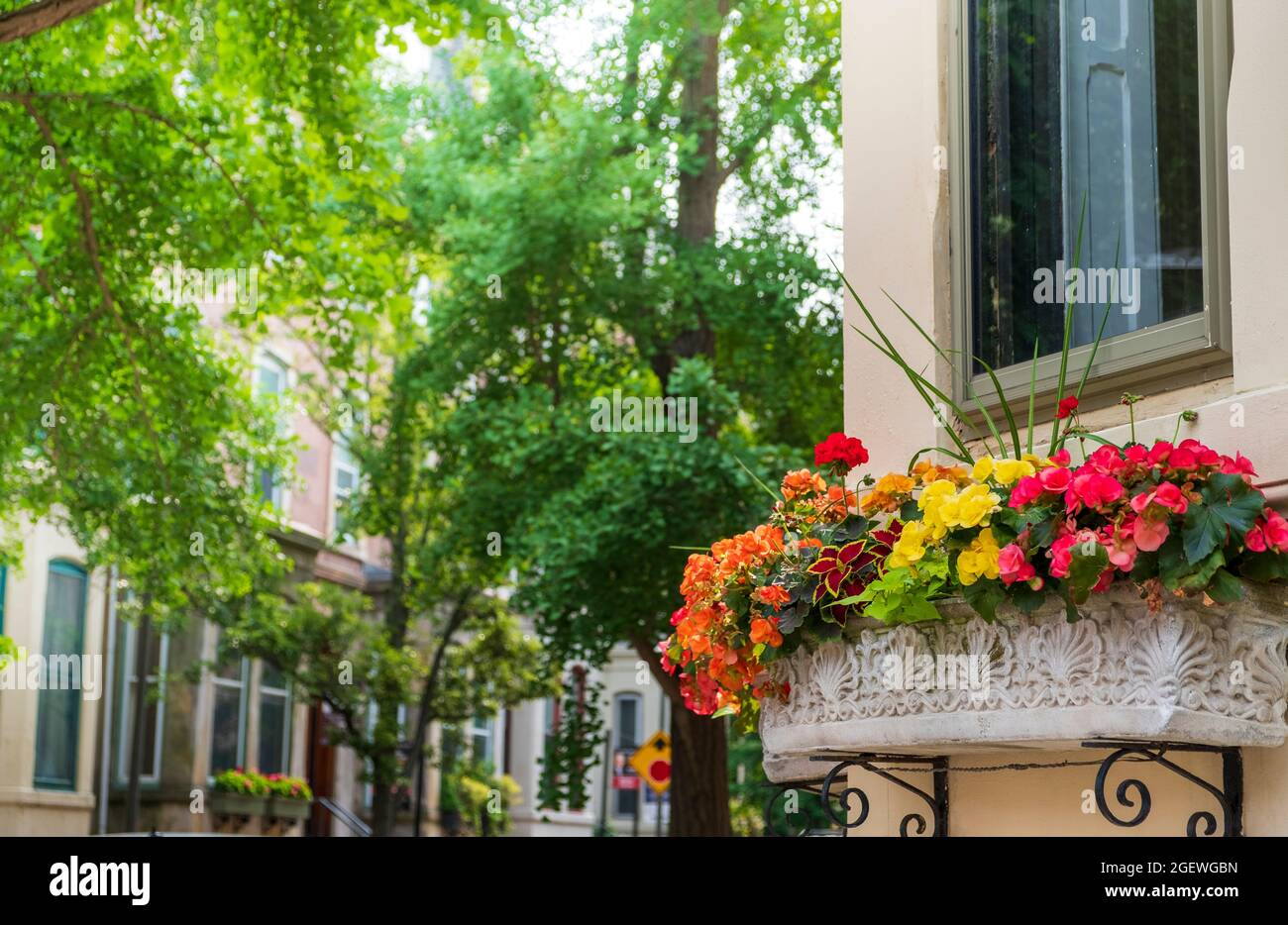 Windowboxes on homes in summer, Rittenhouse Square Neighborhood, Philadelphia, Pennylvania, USA Stock Photo
