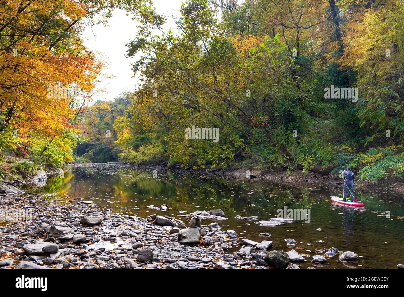 Man jogging in Wissahickon Creek Valley Park in fall on Forbidden Drive, Philadelphia, Pennsylvania, USA Stock Photo