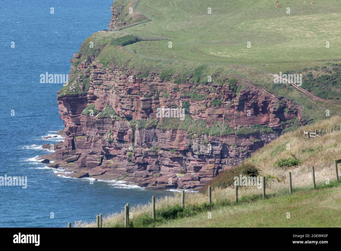 Spectacular sandstone cliffs viewed from the coastal path at St Bees Head and site of a RSPB reserve for seabirds Stock Photo