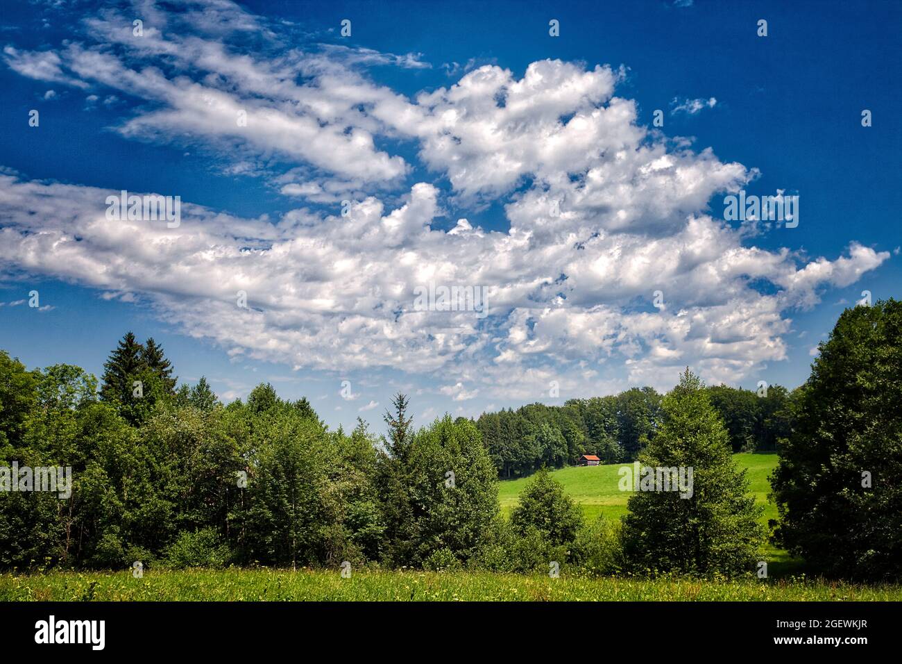 DE - BAVARIA: Rural scene at Wackersberg near Bad Toelz  (HDR-Photography) Stock Photo