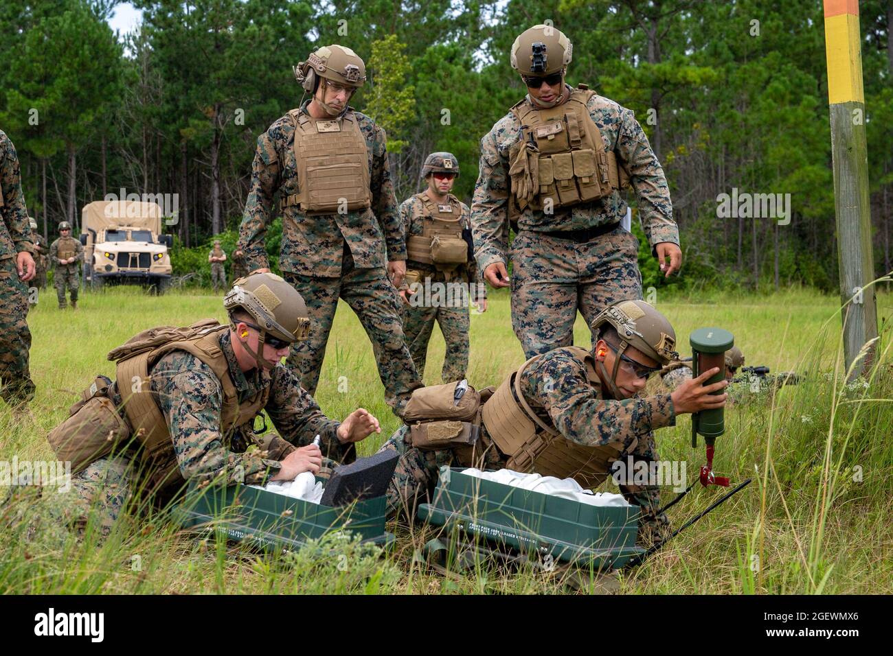 U.S. Marines with 2d Combat Engineer Battalion, 2d Marine Division, place an anti-personnel obstacle breaching system (APOBS) on Camp Lejeune, N.C., Aug. 18, 2021. The APOBS is an explosive line charge system that is manually emplaced and fired to clear a footpath for troops in combat. (U.S. Marine Corps photo by Lance Cpl. Brian Bolin Jr.) Stock Photo