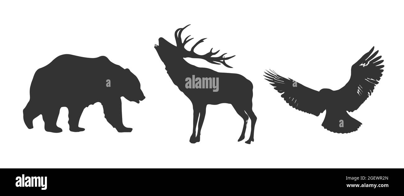 Vector deer, bear, eagle silhouettes isolated on white background. Stock Vector