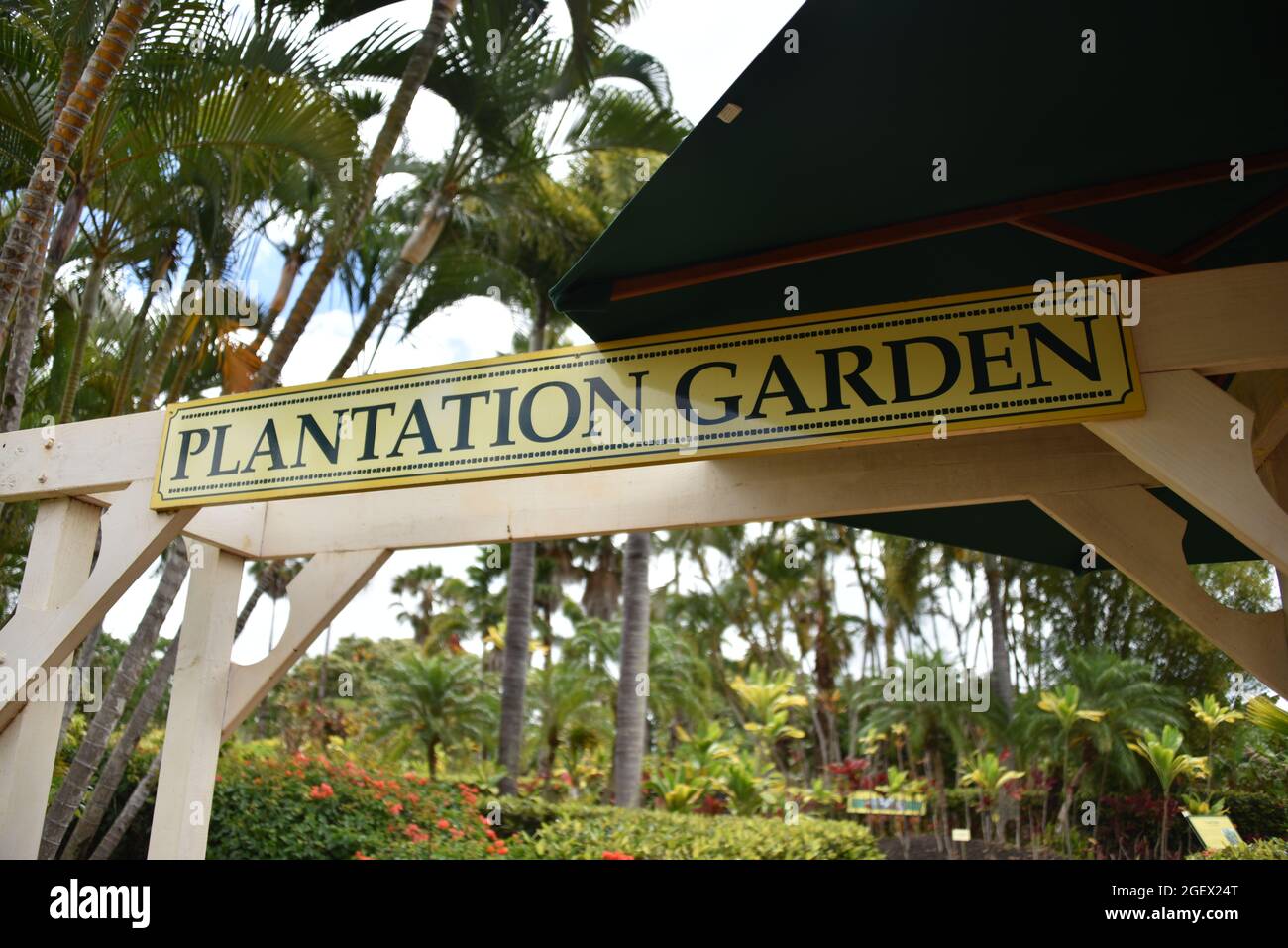 Oahu HI U.S.A. 6/3&6/2021. Dole Plantation. Gardens. Pineapple Express