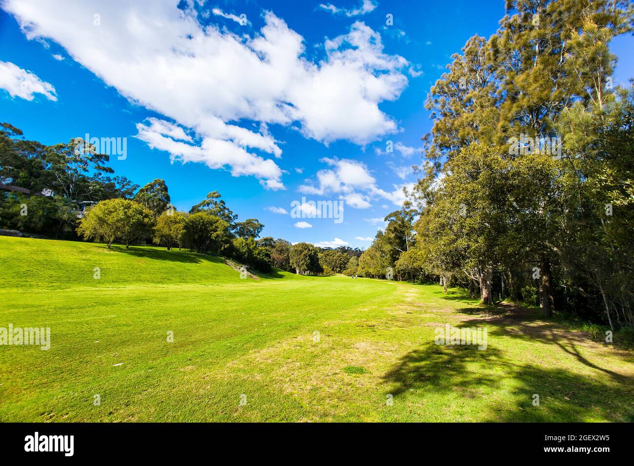 Green cultivated grassy lawn on banks of Lane Cove river - walking track along backyards of residential houses in public park. Stock Photo
