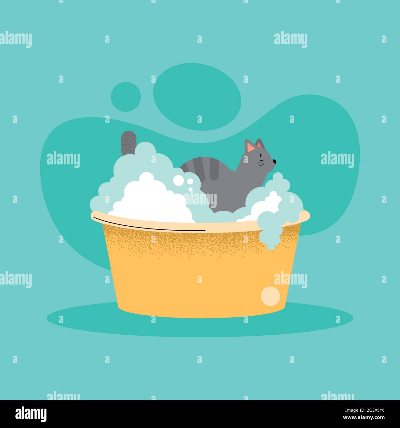 washing cat in bowl with foam Stock Vector Image & Art Alamy