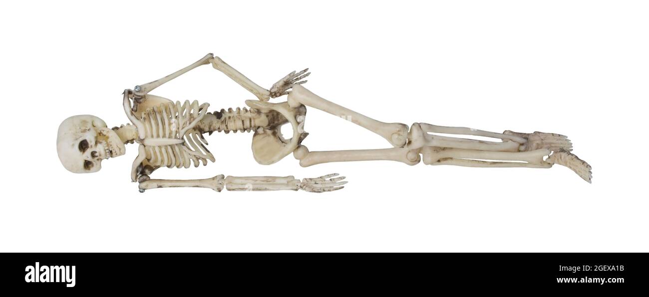 A skeleton of bones laying sideways - path included Stock Photo