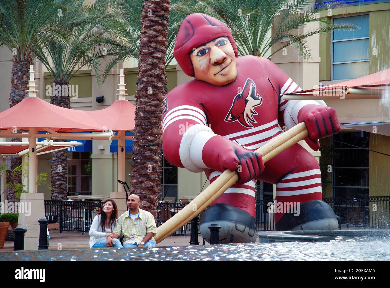 72 Arizona Coyotes Logo Stock Photos, High-Res Pictures, and