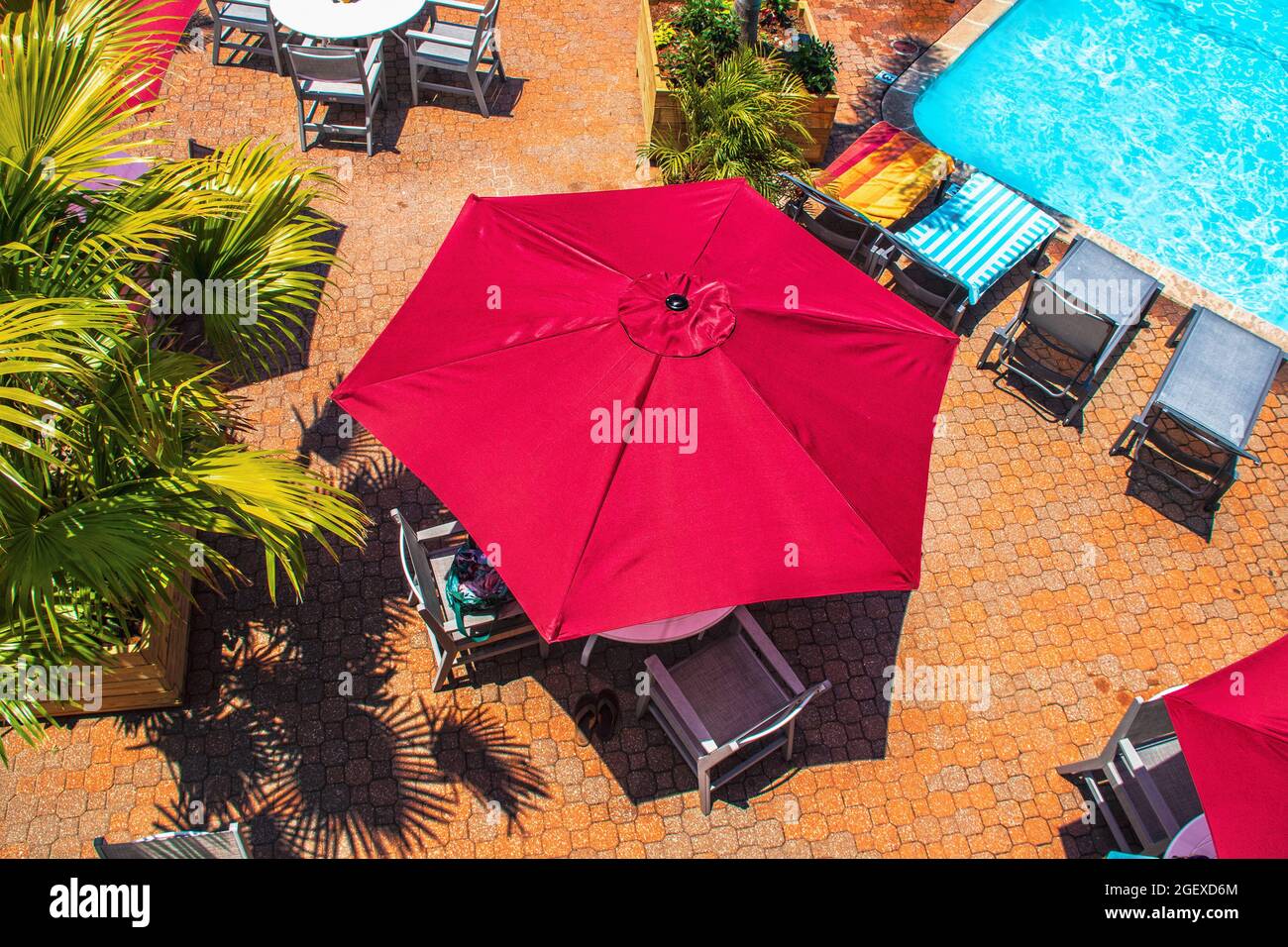 Poolside textured red umbrellas over tables and chairs beside lounges covered in beach towels and potted palms on orange tile deck on sunny day - top Stock Photo