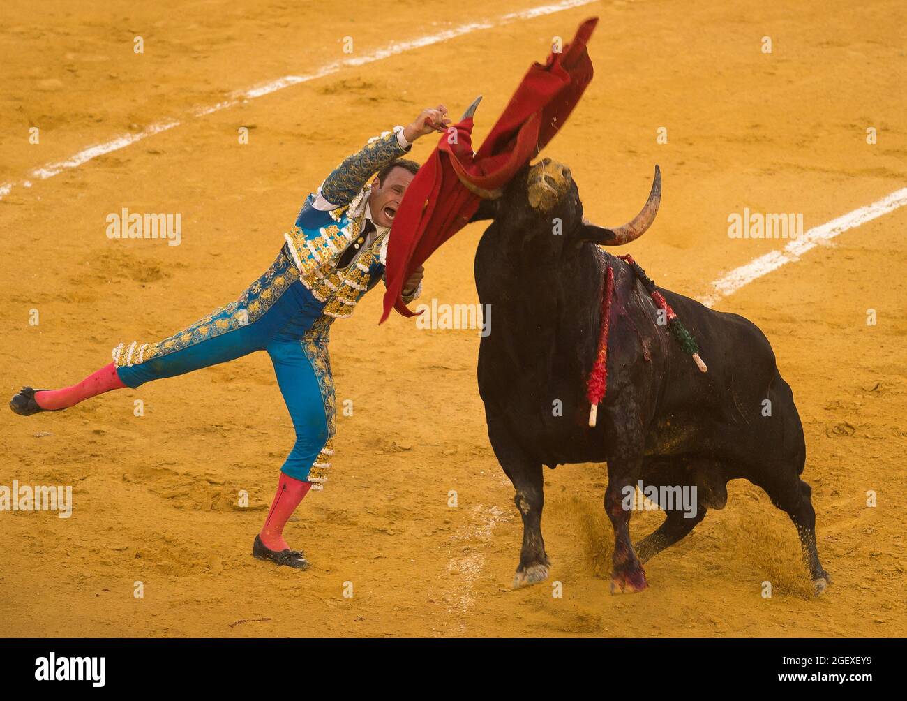 Spanish bullfighter Jose Antonio Ferrera fails with a sword during a ...