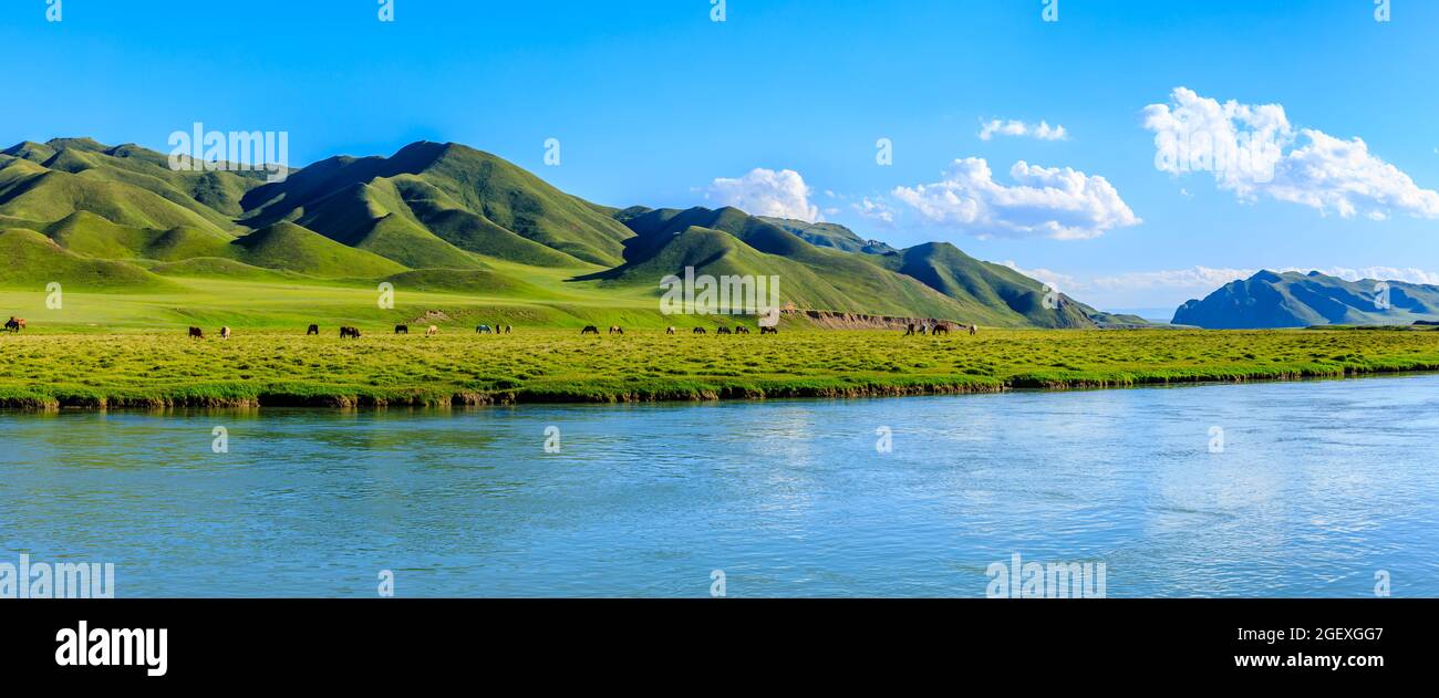 Horses graze on the pasture by the river.the mountain and meadows with horses in the summer pasture.beautiful grassland scenery in Xinjiang,China. Stock Photo