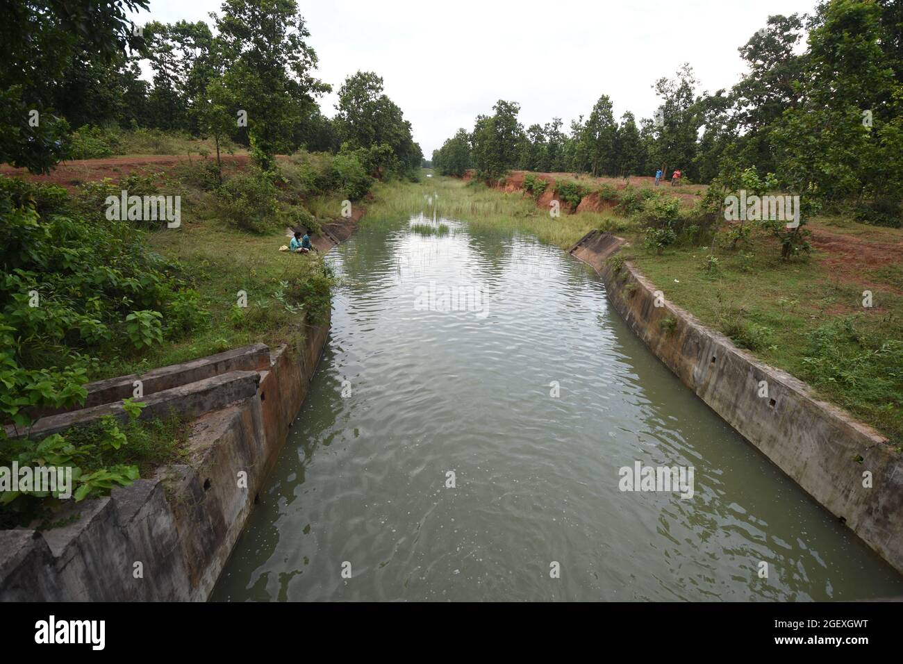 Irrigation canal of Joypur Forest. It is a protected jungle area of