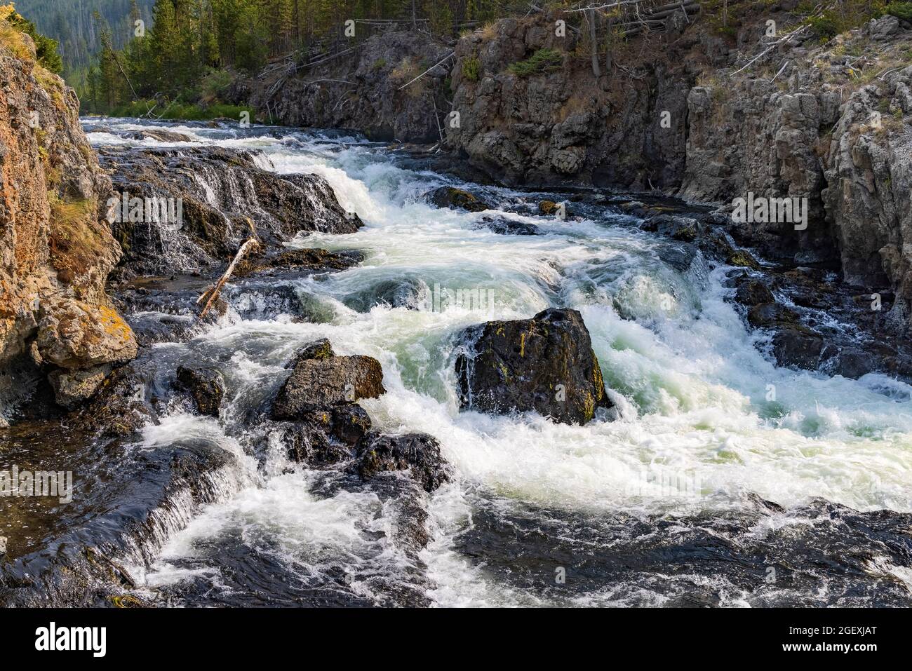The water of the Firehole River cascades down toward Madison Junction in Yellowstone National Park, Wyoming, USA. Stock Photo