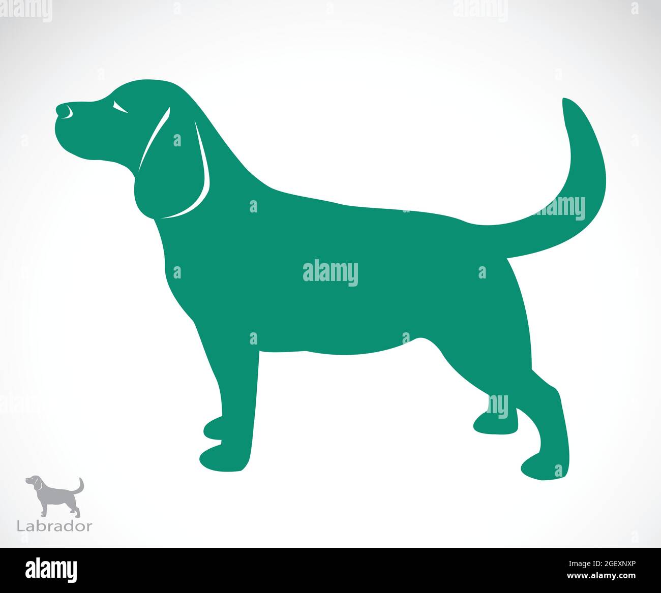 Labrador Simple Vector Image Vector image of a dog labrador on white background. Easy editable ...