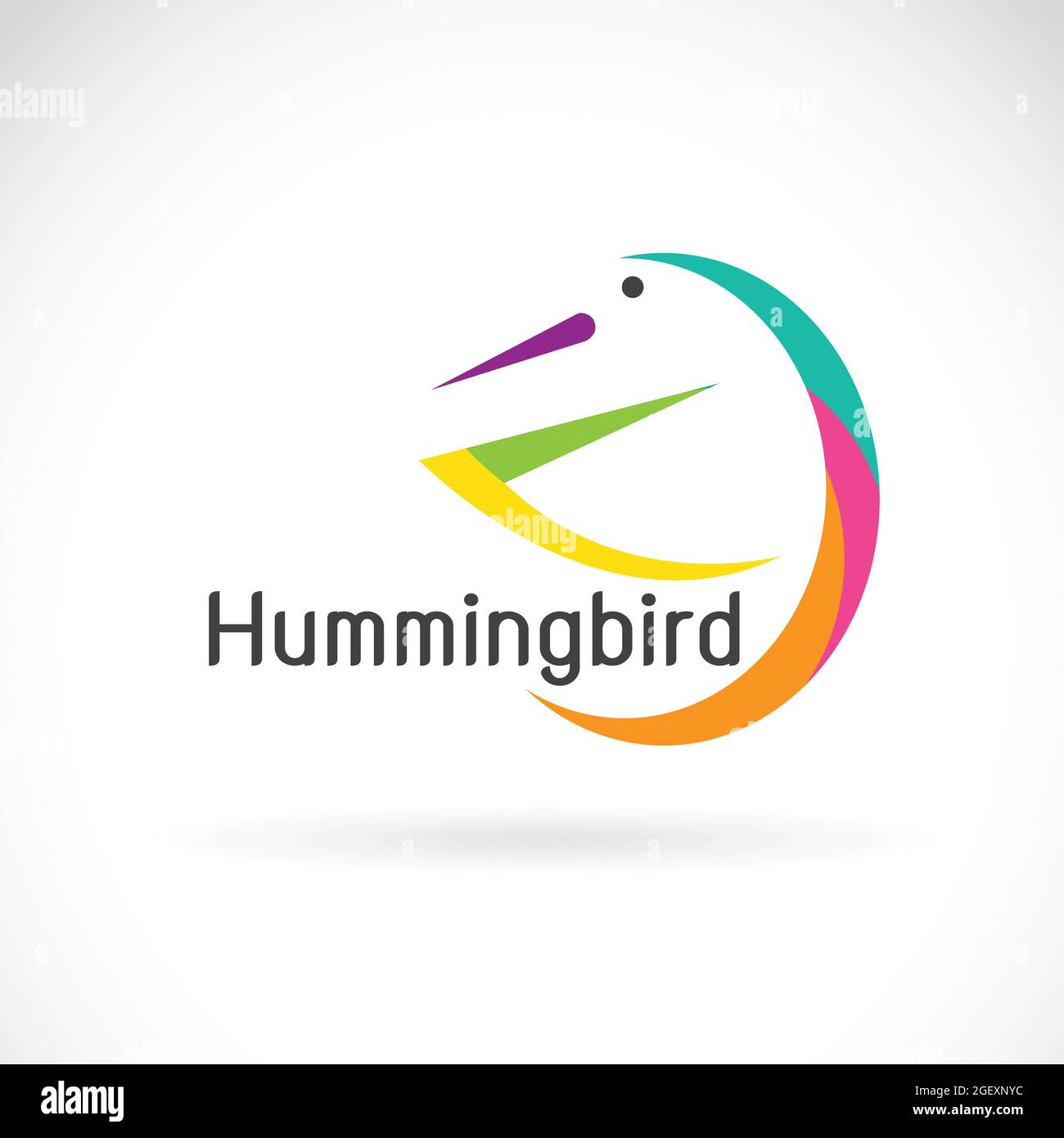 Vector of humming bird design on white background, Bird Logo. Easy editable layered vector illustration. Wild Animals. Stock Vector