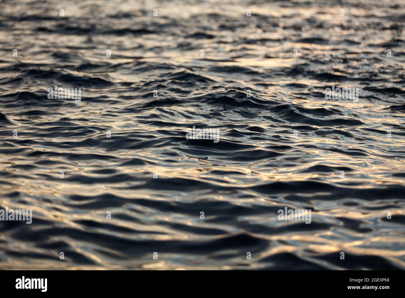 Surface of the sea water in sunset light Stock Photo - Alamy