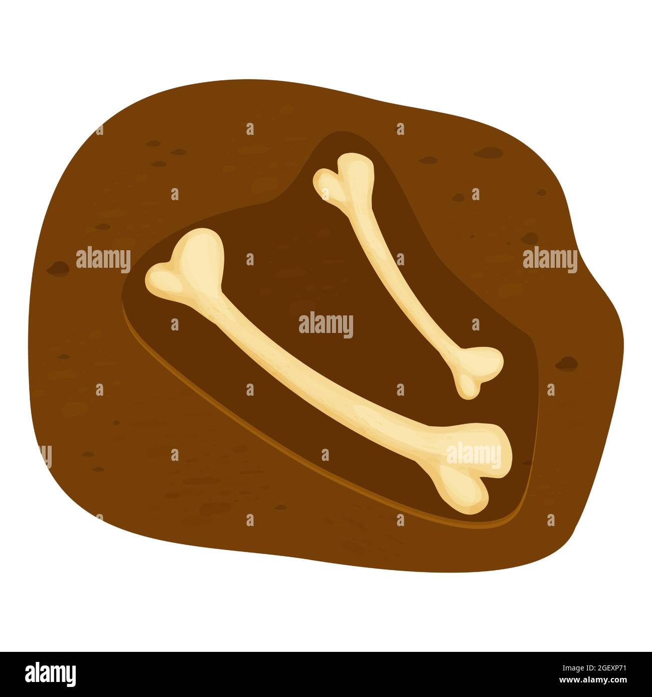 Fossil dinosaur bones cartoon hires stock photography and images Alamy