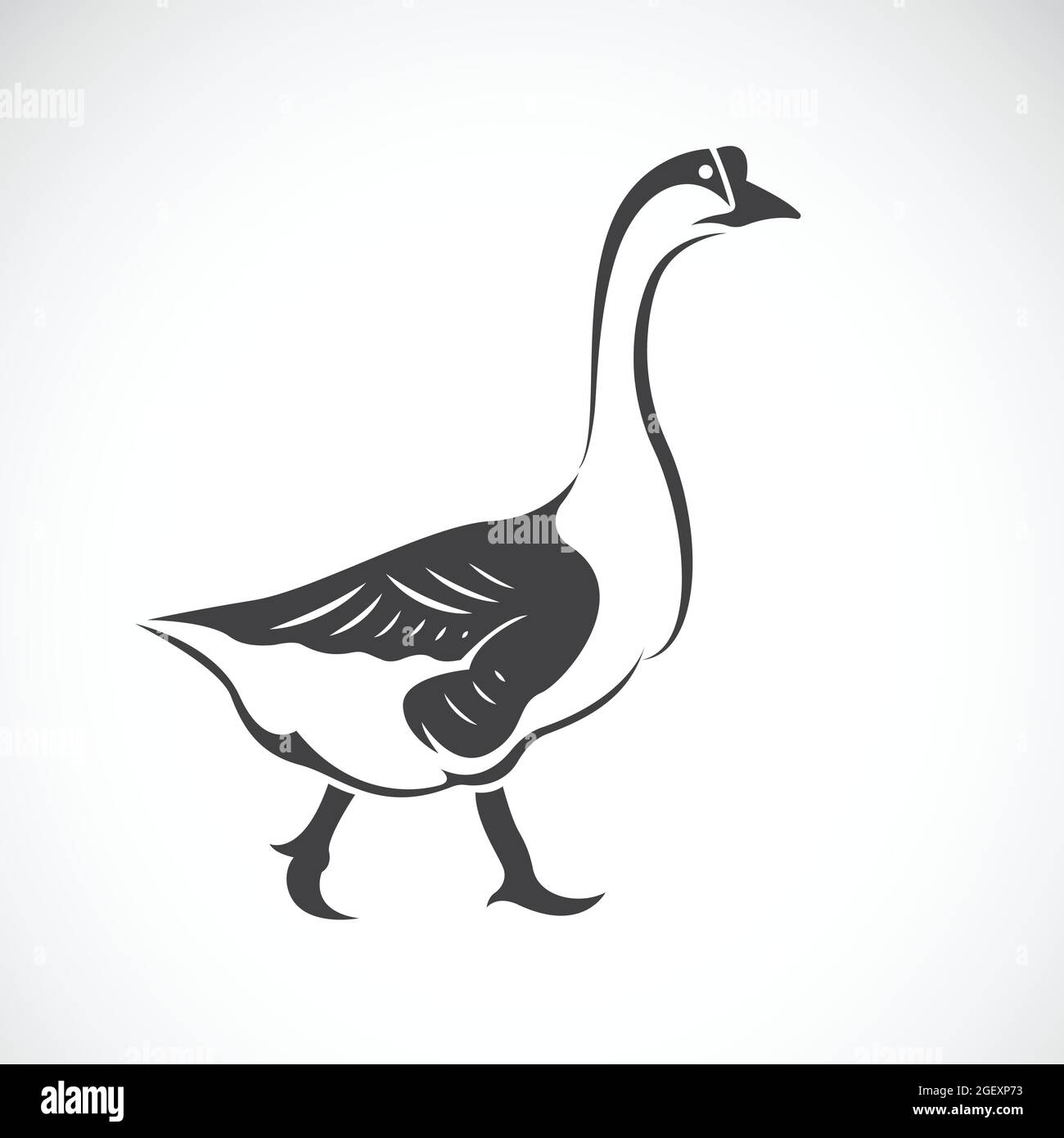 Vector image of a goose on white background, Vector goose logo. Farm Animals.  Easy editable layered vector illustration. Stock Vector