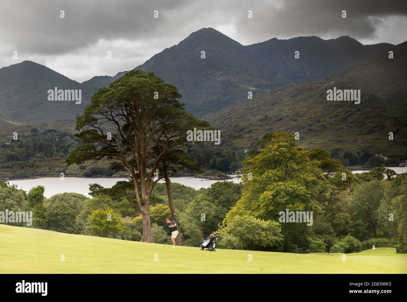 Glengarriff, Cork, Ireland. 21st August, 2021. Seán O'Sullivan from Ballylickey on the fairway at the picturesque with a backdrop of the Caha Mountains in Glengarriff, Co. Cork, Ireland .- Picture; David Creedon ?Alamy Live News Stock Photo