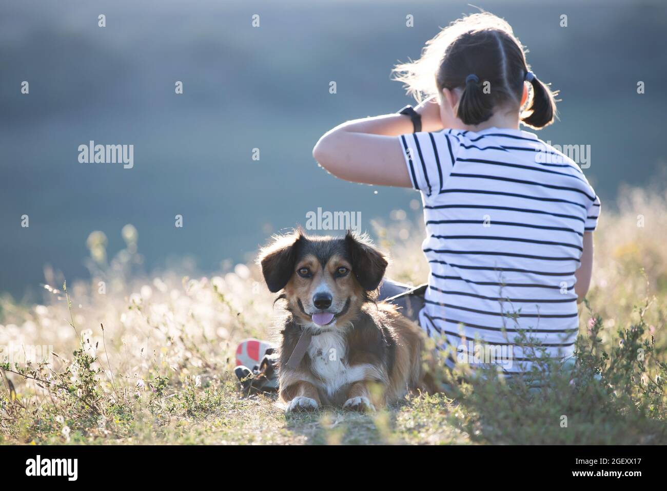 Child with her dog sitting and in summer meadow Stock Photo - Alamy