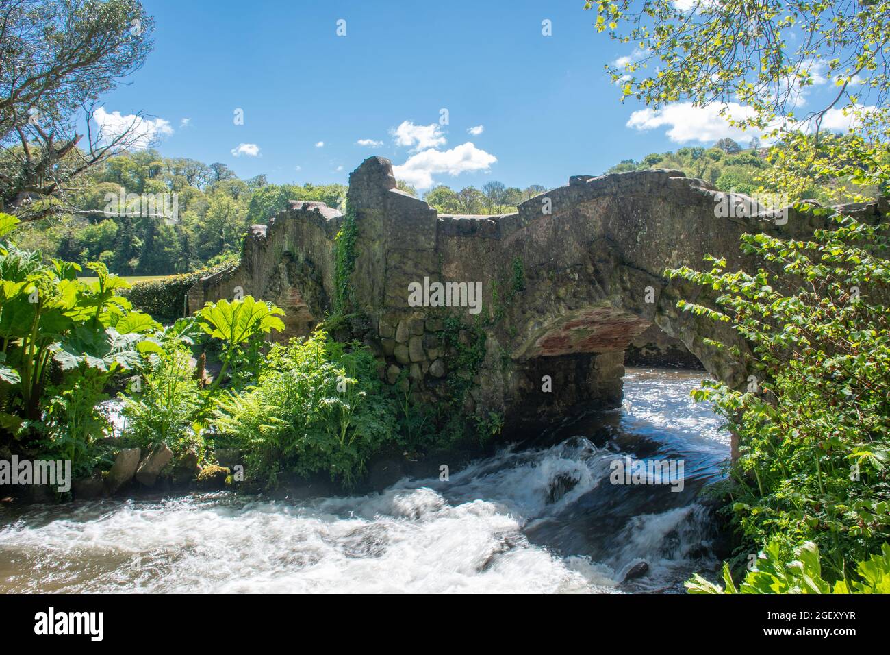 Small bridge flow water hi-res stock photography and images - Alamy