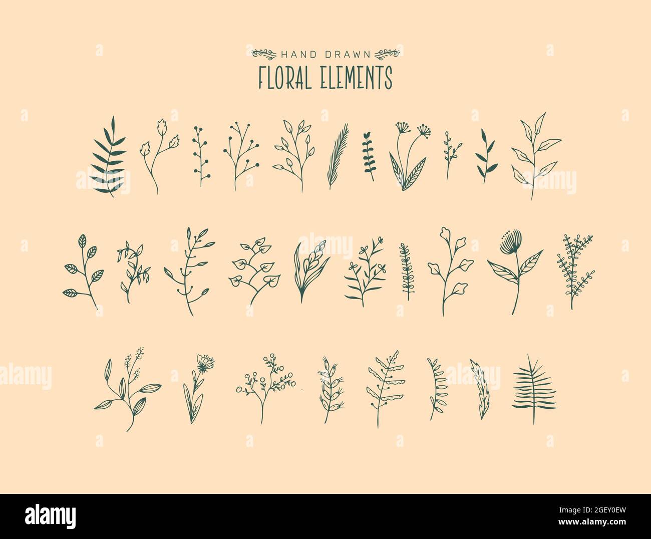 Hand drawn floral element doodle vector set. Illustration of botanical ...