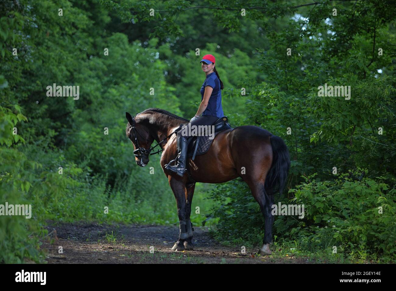 Young woman in uniform riding horse. Equestrian sport - trial Stock Photo