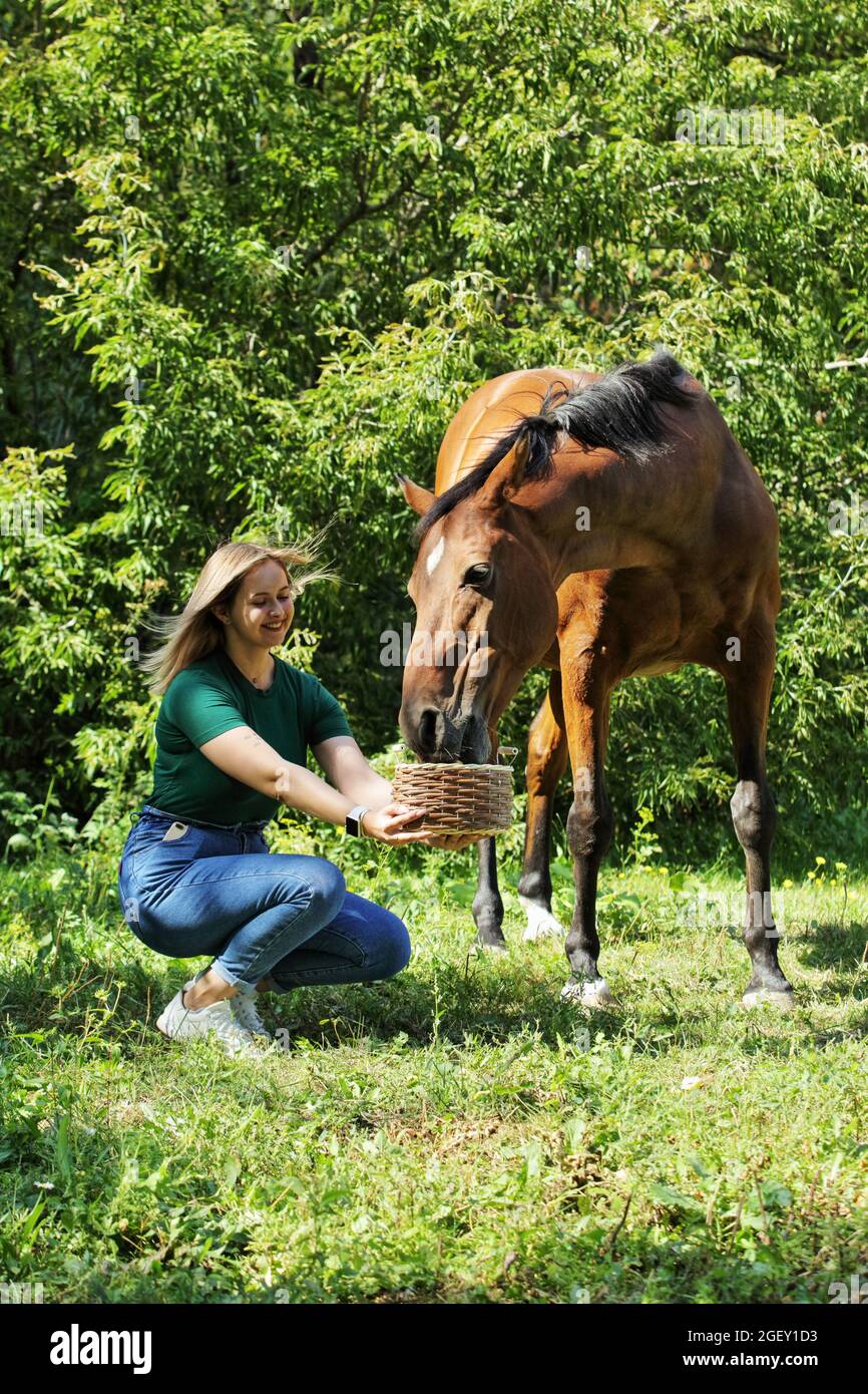 A girl feeds a horse with a carrot Stock Photo