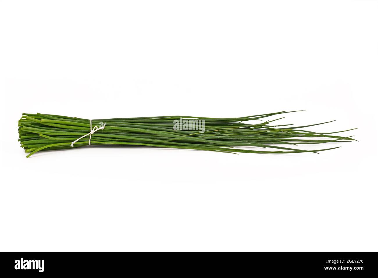 Bundle of cut chive tied with rope isolated on white background Stock Photo