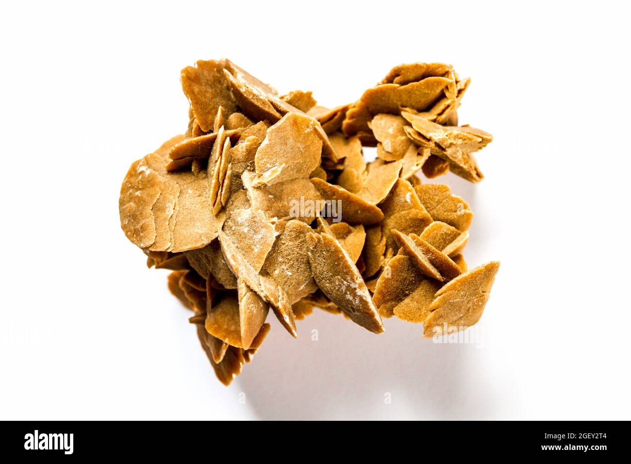 Desert rose crystal isolated on white background. Closeup view Stock Photo