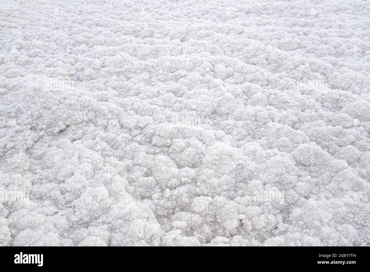 White crystalline salt closeup detail on Ein Bokek beach at Dead Sea - world most hypersaline lake. Stock Photo