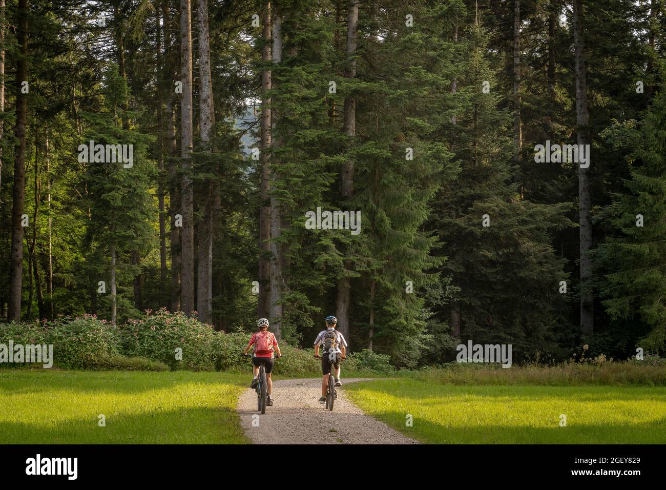 Young woman riding bike in hi-res stock photography and images - Page 39 -  Alamy