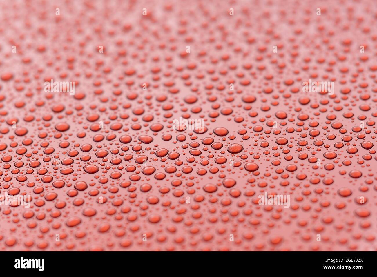 Water beading on a polished car body Stock Photo Alamy