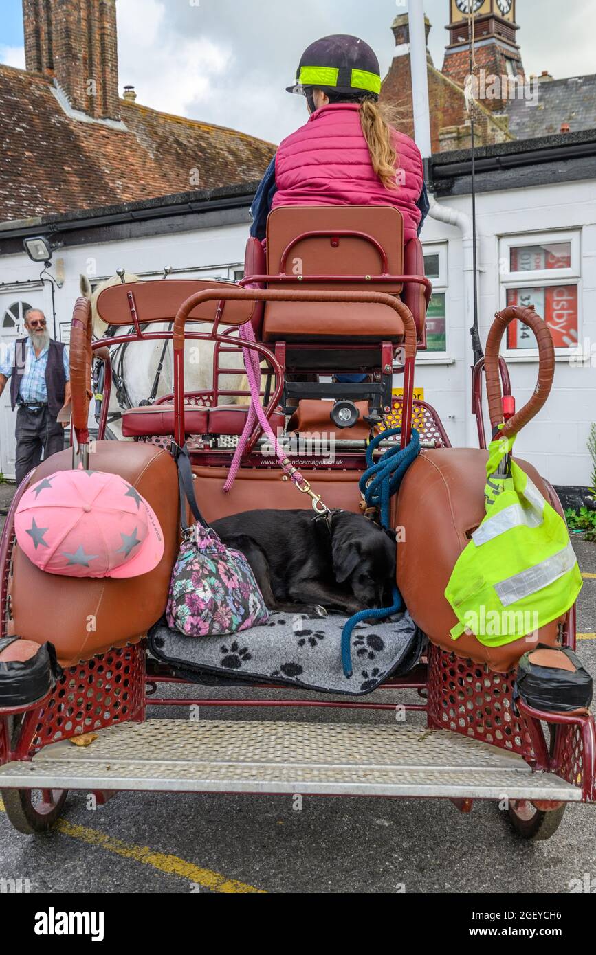 Fordingbridge, New Forest, Hampshire, UK. 22nd August, 2021. Members of