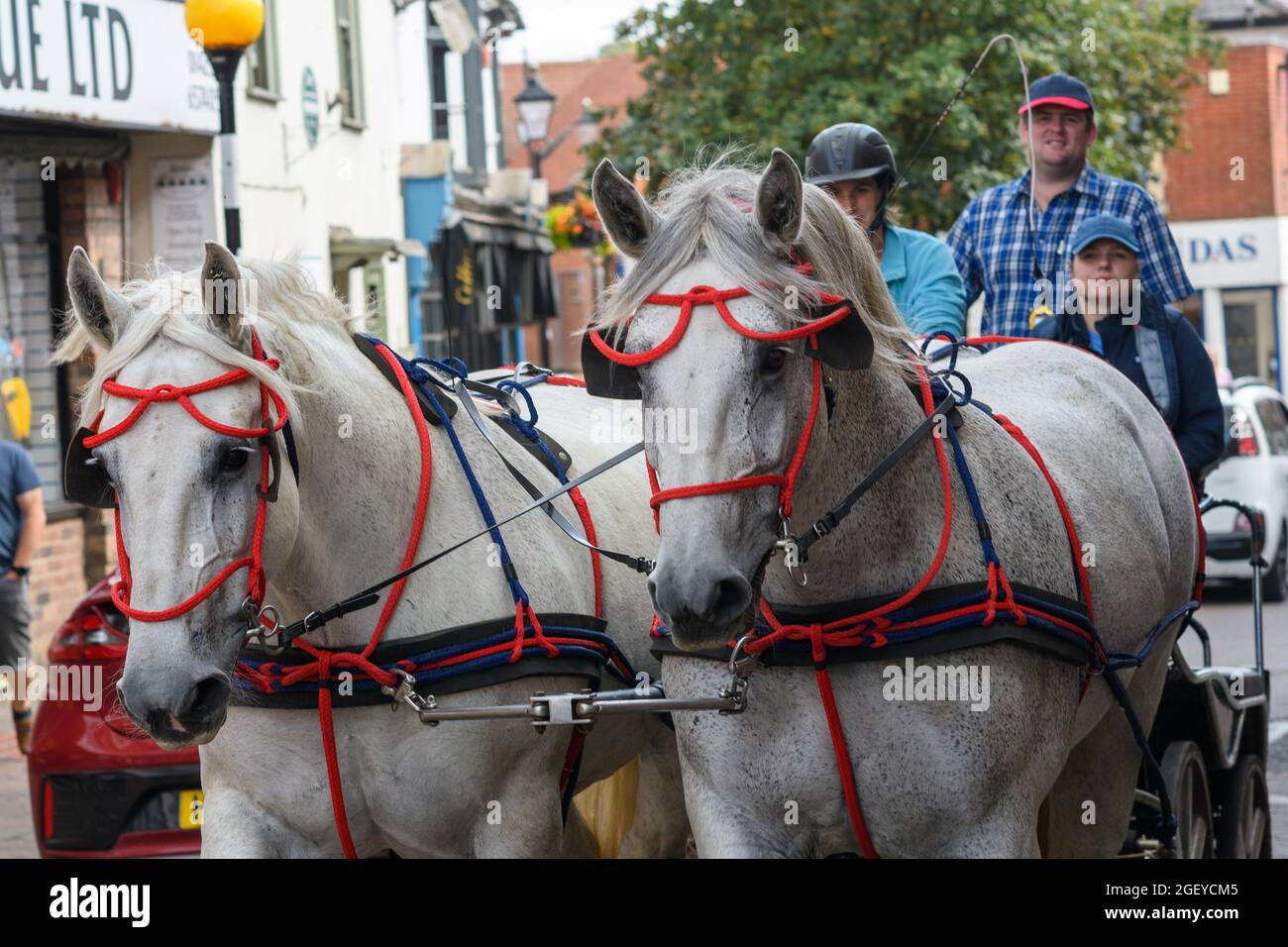 Fordingbridge club hires stock photography and images Alamy