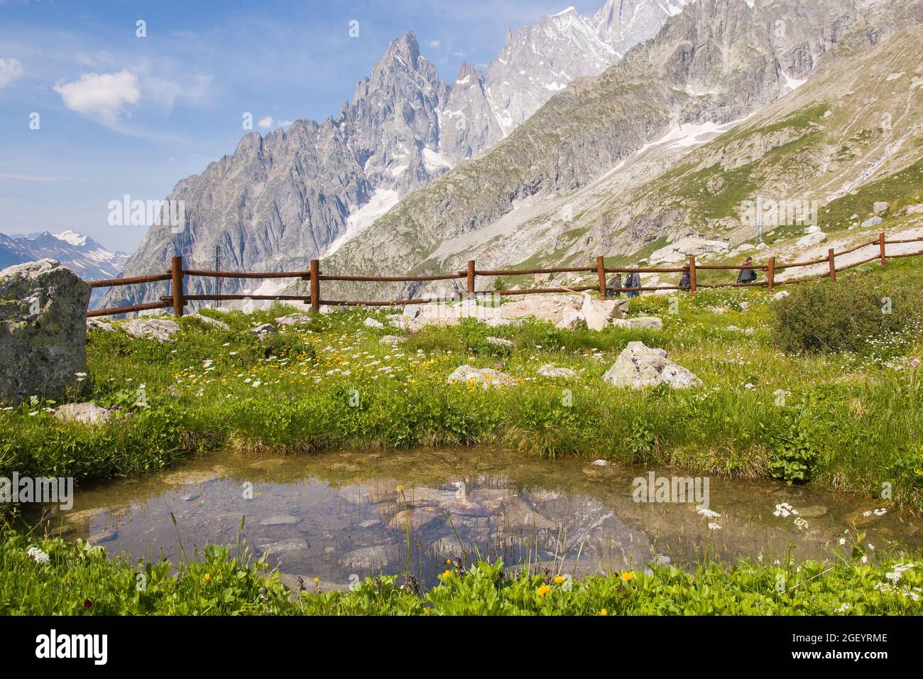 Mont Blanc massif: view of the Saussurea Botanic Garden with idyllic little lake in Aosta Valley, Italy Stock Photo