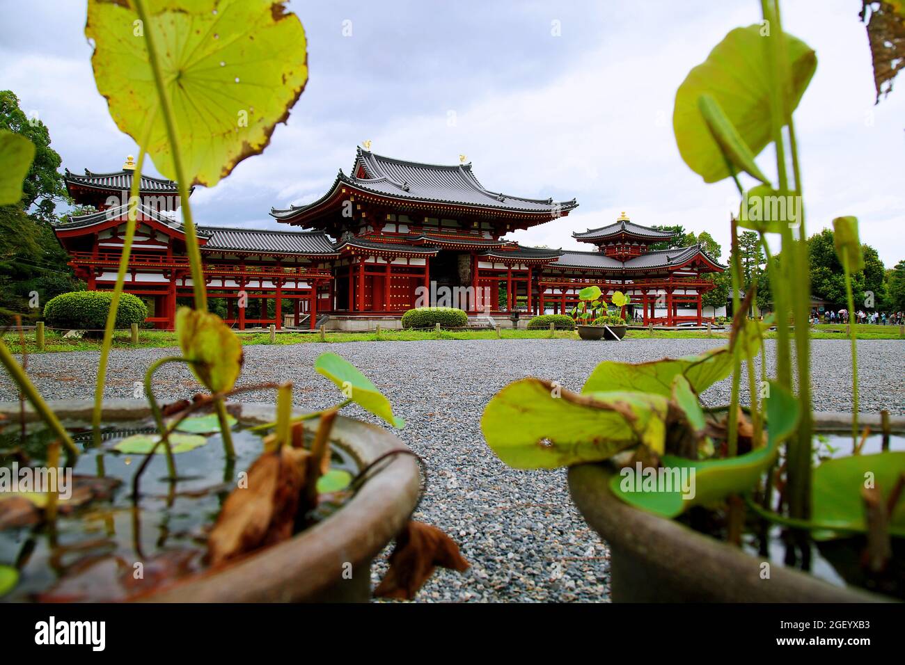 Uji, Kyoto Phoenix hall Byodoin with lily plants in the foreground. Stock Photo